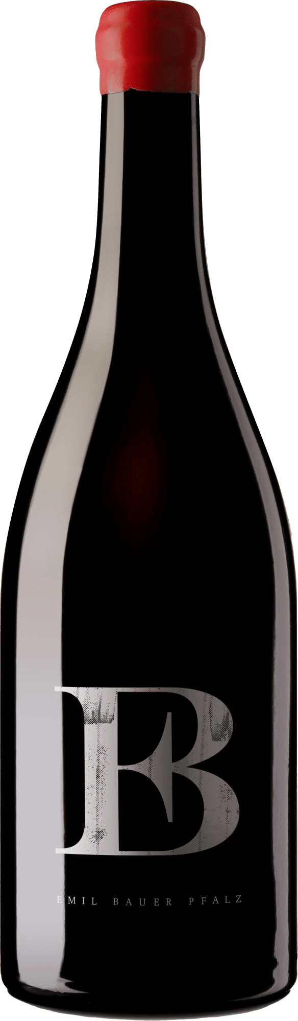 Emil Bauer »Servator«