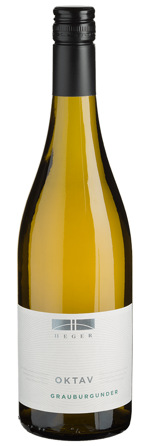 Oktav Grauburgunder trocken (2024) - Heger - Weißwein aus Baden