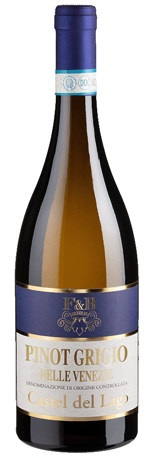 Pinot Grigio Castel del Lago (2024) - Riolite Vini - Weißwein aus Italien