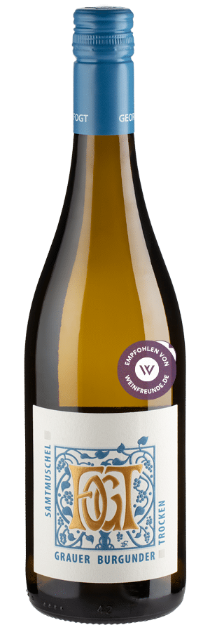 Samtmuschel Grauer Burgunder trocken (2025) - Fogt - Weißwein aus Rheinhessen