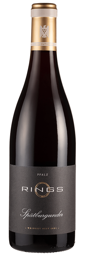 Spätburgunder trocken Bio (2023) - Rings - Rotwein aus der Pfalz